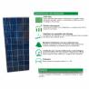 Auto Label Placa Solar Policristalina 12V 175W, 1485x668x30 mm., 36 células, Alta Eficiencia